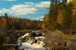 Autumn_JayCooke_002.jpg