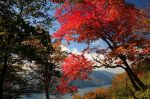 Autumn_on_Nantai.jpg