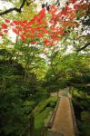 Nikko_Temple_Garden.jpg